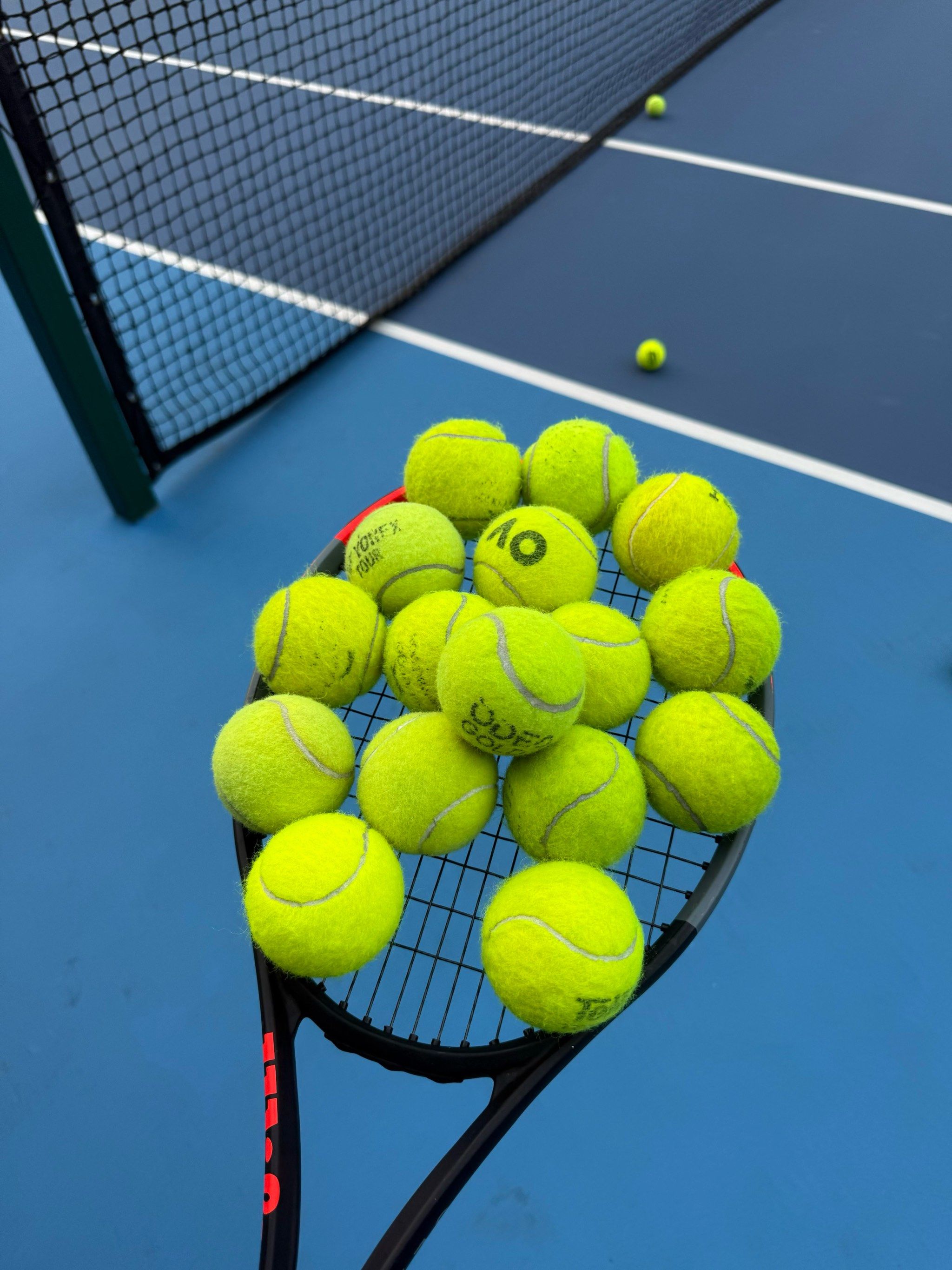 扰未能充分 扰未能充分