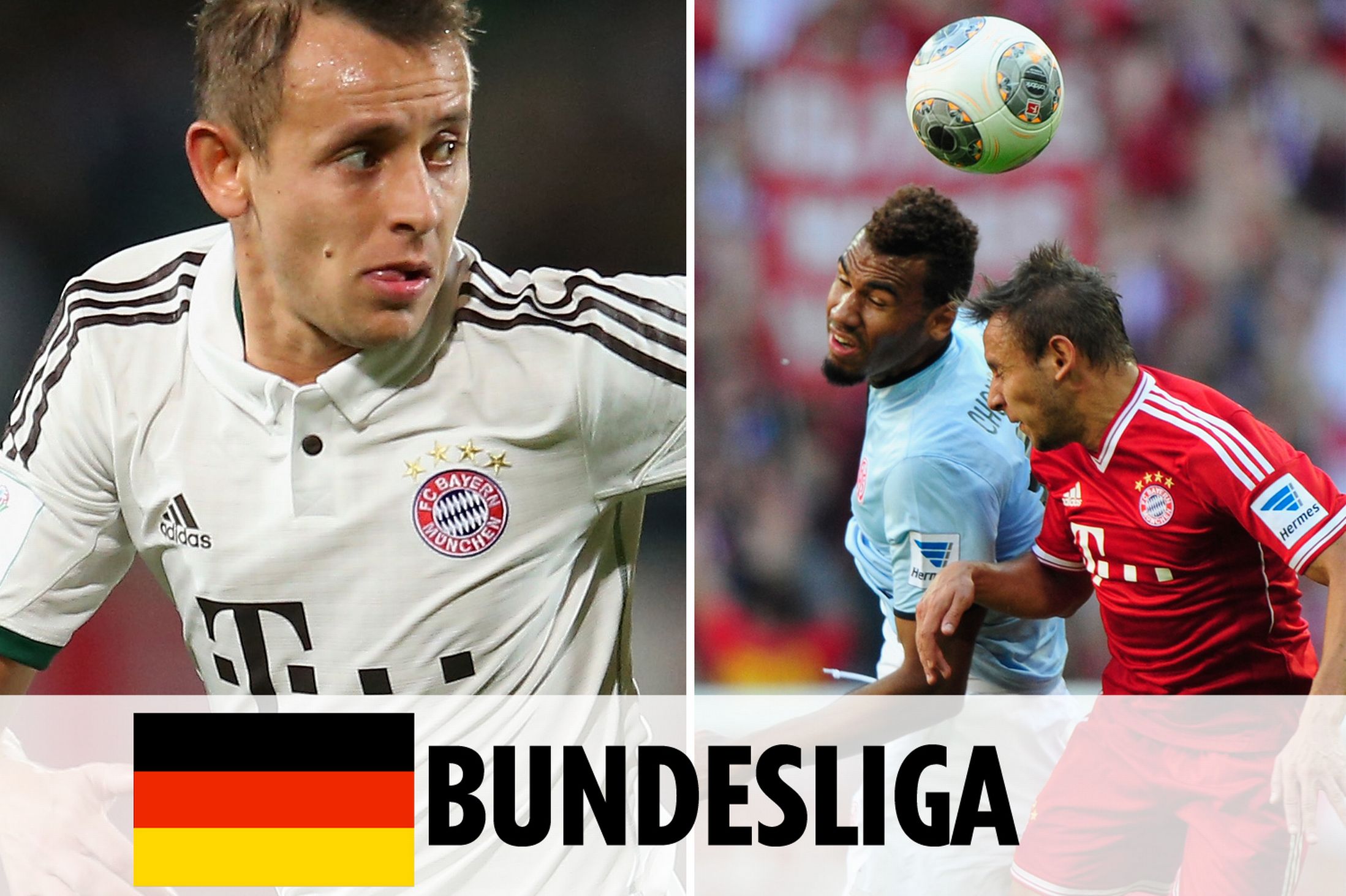 绝对热门 绝对热门